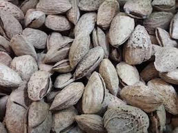 تصویر 1 از قیمت روز بادام پوست کاغذی